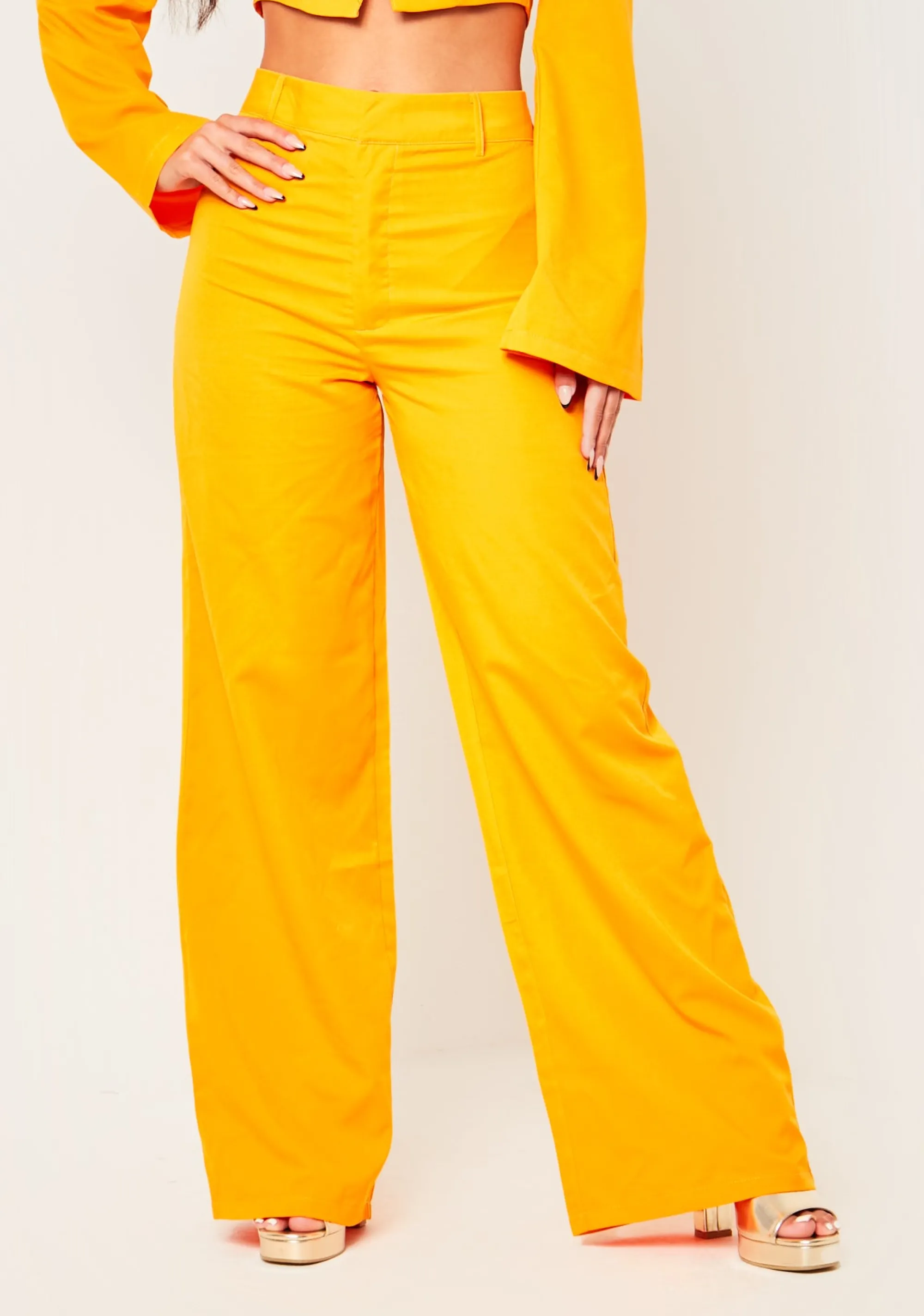 Missy Empire Evangelina Orange Fit And Flare Trousers^Women Trousers